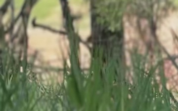 U.S. Army field tests new CUAS tech for Flytrap