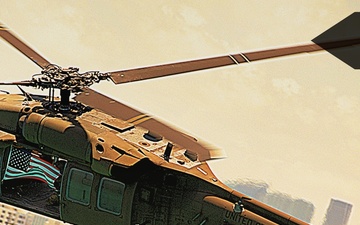 Flying Tigers Storm Miami