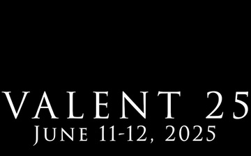 VALENT 25