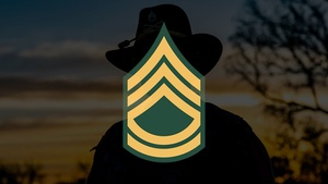 Command Sgt. Maj. Mcinroy