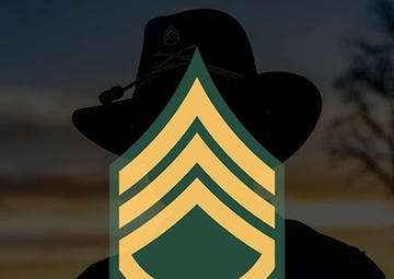 Command Sgt. Maj. Mcinroy