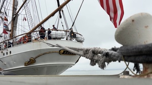 CGC Eagle moors in San Francisco