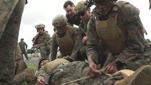 Fuji Viper 25.3: Marines train on cherry picker drills