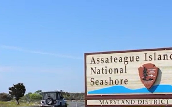 Air National Guard Engineers Build Roads, Skills During Assateague Island Project