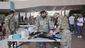 Continuing Promise 2025 Veterinary Clinic