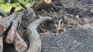 Waterway debris removal in Buncombe County, North Carolina