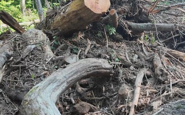 Waterway debris removal in Buncombe County, North Carolina