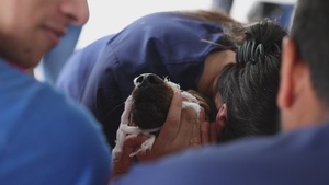 U.S. Army veterinarians provide aid at local medical clinic
