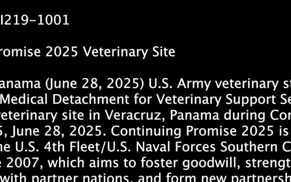 Continuing Promise 2025