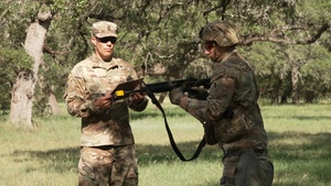 EFMB Warrior Skills 1 - M4 Carbine and M16