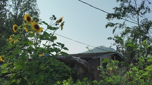 Personal Property Debris Removal mission continues in Buncombe County, NC