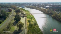 How Nature Quickly Returns After Levee Construction