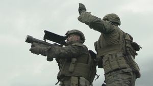 Fuji Viper 25.3: HMLA-169 integrates low altitude air defense