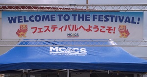 Foster Festival 2025 | B-Roll