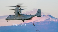InFocus: NAVSUP Sigonella Change of Command