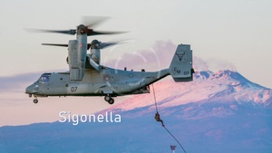 InFocus: NAVSUP Sigonella Change of Command