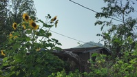 Personal Property Debris Removal mission continues in Buncombe County, NC Broll