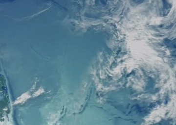 PALS 25: Social Media Reel