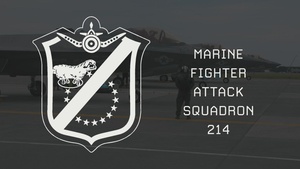 VMFA-214 and MWCS-18 collaborate with 3d MARDIV JTAC in CAS training