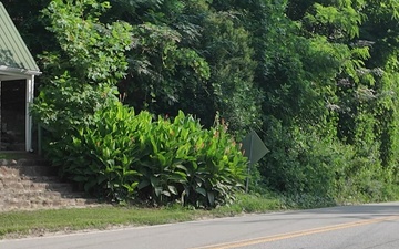 Debris removal continues at Lake Lure, North Carolina July 9, 2025 Broll
