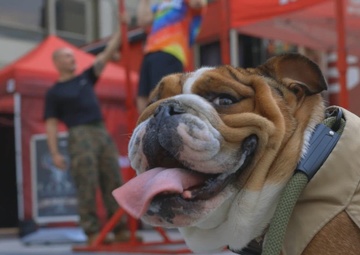 Marine Week Chicago 2025: Magnificent Mile Static Display