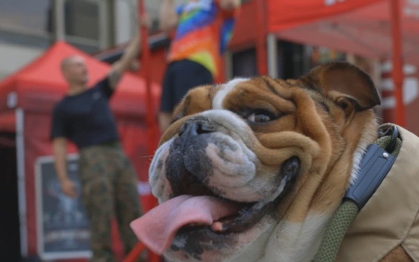 Marine Week Chicago 2025: Magnificent Mile Static Display