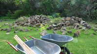 Air Force, Navy Volunteers Construct Rock Wall to Preserve and Protect Hawaiian Burial Vault
