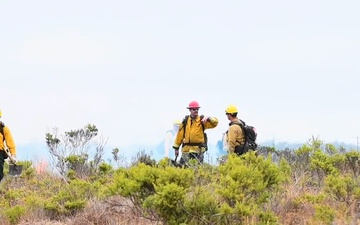 Vandenberg SFB Prescribed Burns