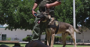 K9 Unit Demonstration for Palm Vista Elementary School Students