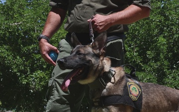 K9 Unit Demonstration for Palm Vista Elementary School Students