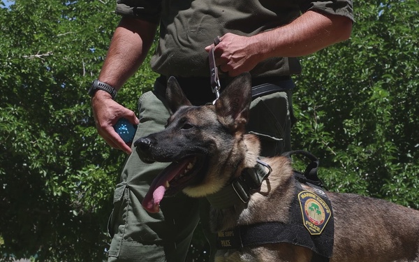 K9 Unit Demonstration for Palm Vista Elementary School Students