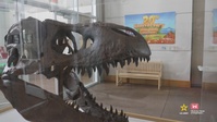 Fort Peck Interpretive Center marks 20th anniversary with decade-high attendance
