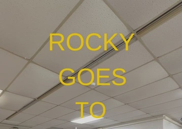 Rocky goes to the board