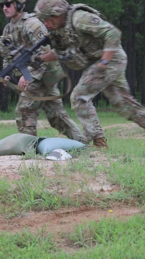 Buddy team Live Fire