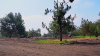 b-roll Altadena Golf Course Restoration USACE 4k 30p