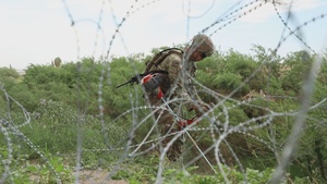 76th Combat Engineer Company-Stryker clear brush to support Border Patrol