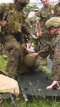 1st MAW, 3d MARDIV participate in Fuji Viper 25.3