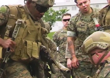 1st MAW, 3d MARDIV participate in Fuji Viper 25.3