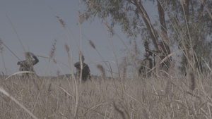 B-Roll: Talisman Sabre 25: U.S. Marines with 2nd Bn., 1st Marines conduct patrols