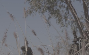 B-Roll: Talisman Sabre 25: U.S. Marines with 2nd Bn., 1st Marines conduct patrols