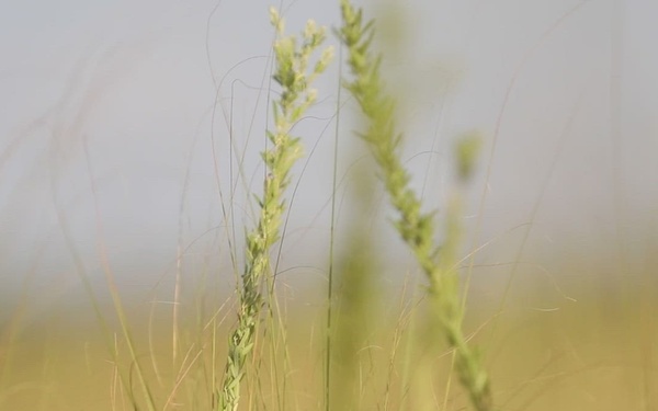 &quot;The Nasty&quot; - 618th Eng. Spt. Co | Broll