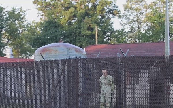 National Dog Day B-Roll