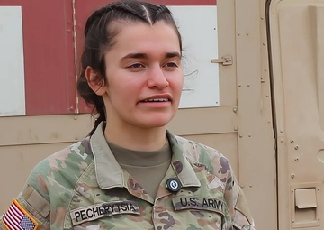 181st Brigade Support Battalion medics train for mass casualty during Raven Focus