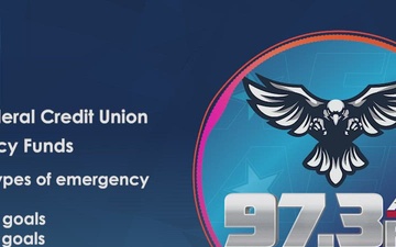 AFN Naples Social Media Excerpt - Emergency Funds