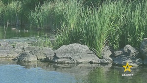 Stopping the Spread: USACE Hydrilla Treatment in Action