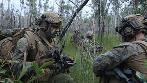 31st MEU | Animal Co. BLT 1/7 conducts simulated Helo Raid
