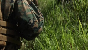 3d Intelligence Battalion Marines conduct live fire and maneuver range