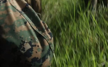 3d Intelligence Battalion Marines conduct live fire and maneuver range