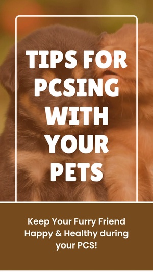Tips for PCSing with pets