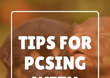 Tips for PCSing with pets